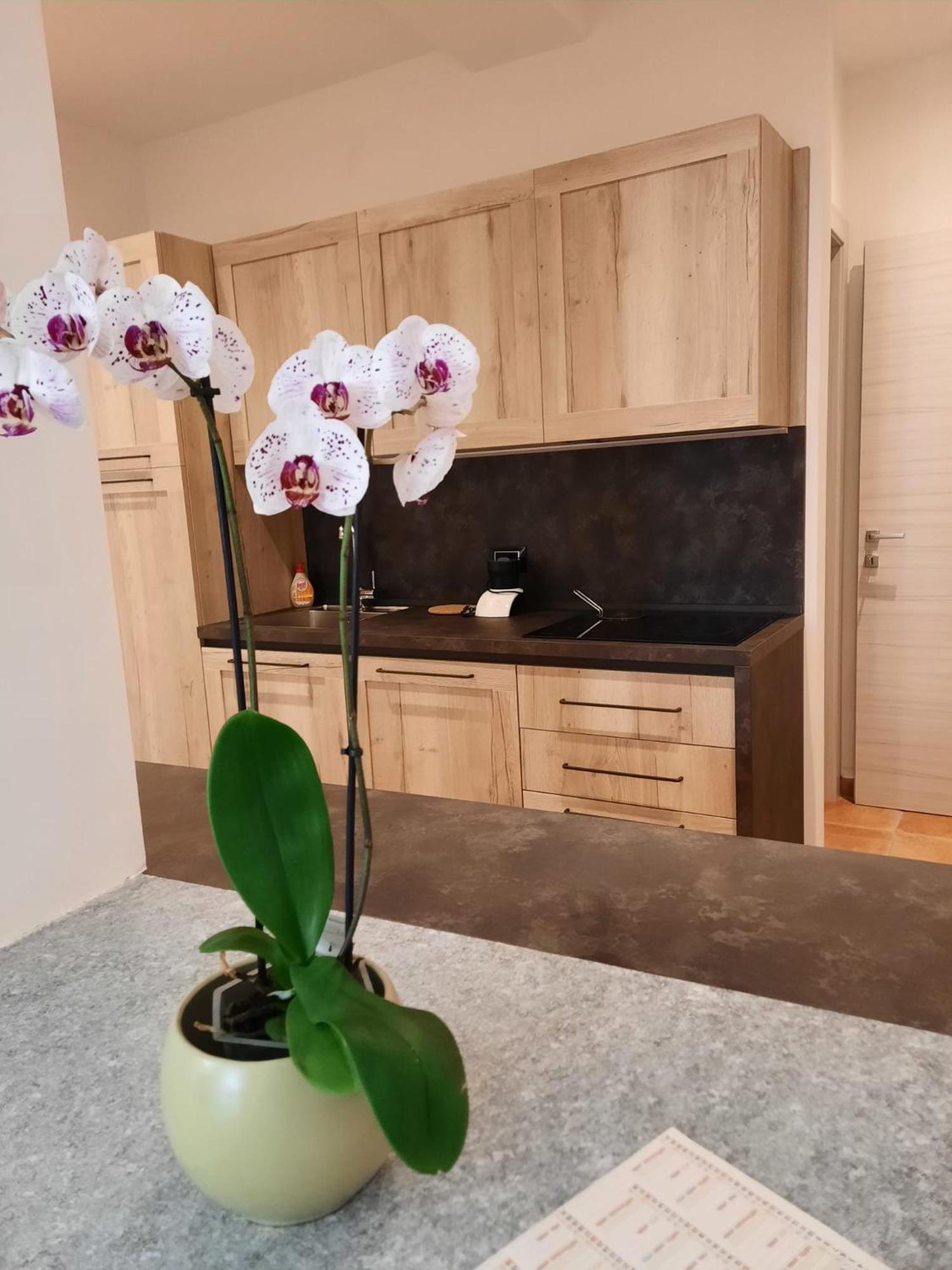 Le Coccinelle Home مانديلو ديل لاريو المظهر الخارجي الصورة